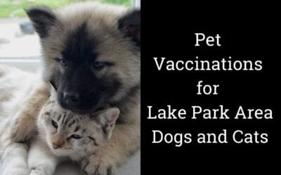 Pet Vaccinations for Lake Park Area Dogs and Cats