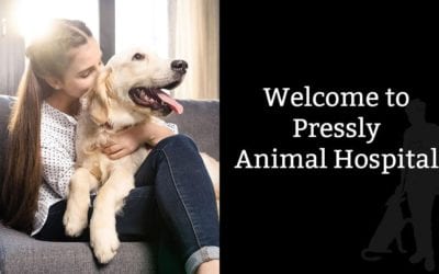 Welcome to Pressly Animal Hospital