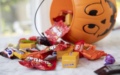 Halloween Treats Your Pet Should Stay Away From