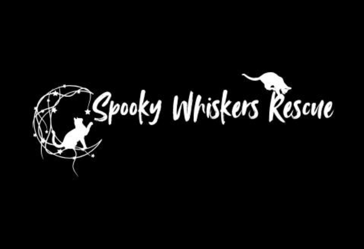 Spooky Whiskers Rescue