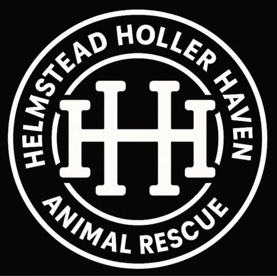 Spooky Whiskers Rescue