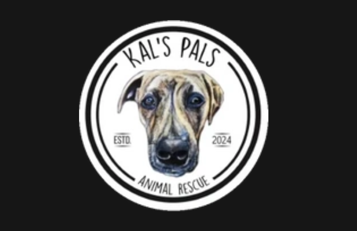 Spooky Whiskers Rescue